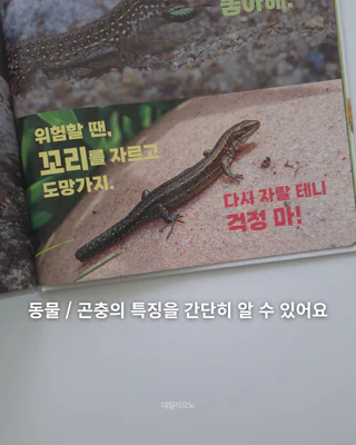 상품 이미지 4