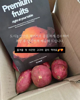 상품 이미지 2
